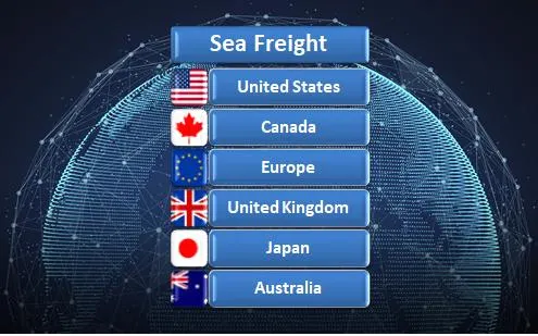 Reliable Logistics Amazon Fba Warehouse Freight China Shipping Agent From Shenzhen to USA