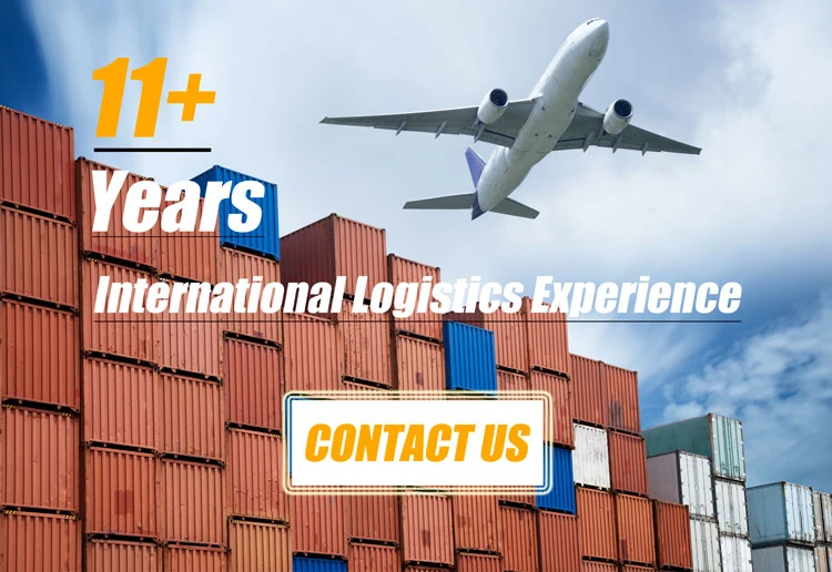 Clearing and Forwarding Agent Warehouse Door to Door Customs Clearance Service From China to Worldwide