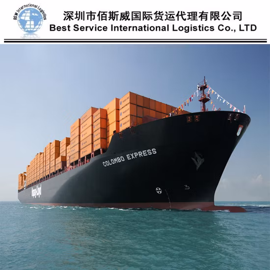 配送貨物運送業者 中国からニューヨークへの配送代理店 Fob Logistics Services