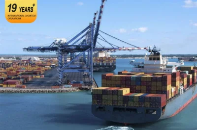 広州、中国、インド、米国からの海上輸送 プロフェッショナルで安価かつ迅速な貨物輸送