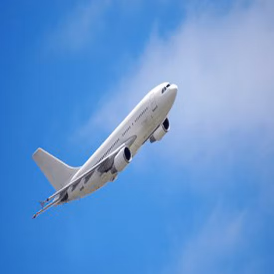 LCL Ocean Sea Freight Forwarder コンテナ貨物輸送、1688 Alibaba Express Air Logistics Service Amazon FBA Drop Shipping Agent Lieferung an Fr Ge Jp