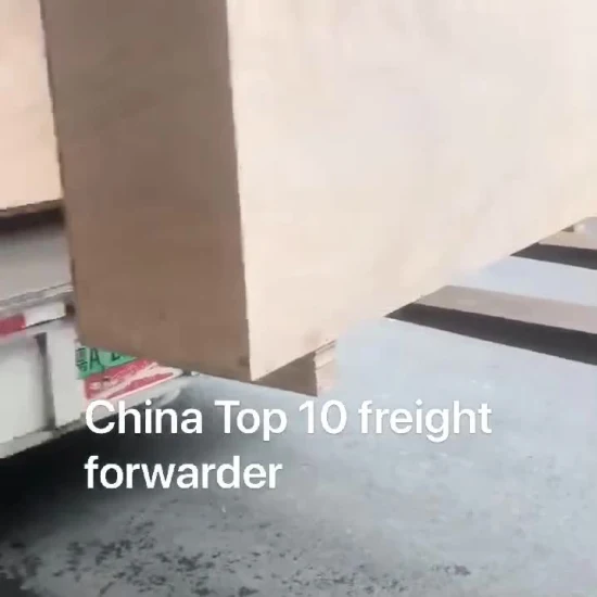 中国貨物代理店の貨物航空貨物ドアツードアのFedExによる米国への配送